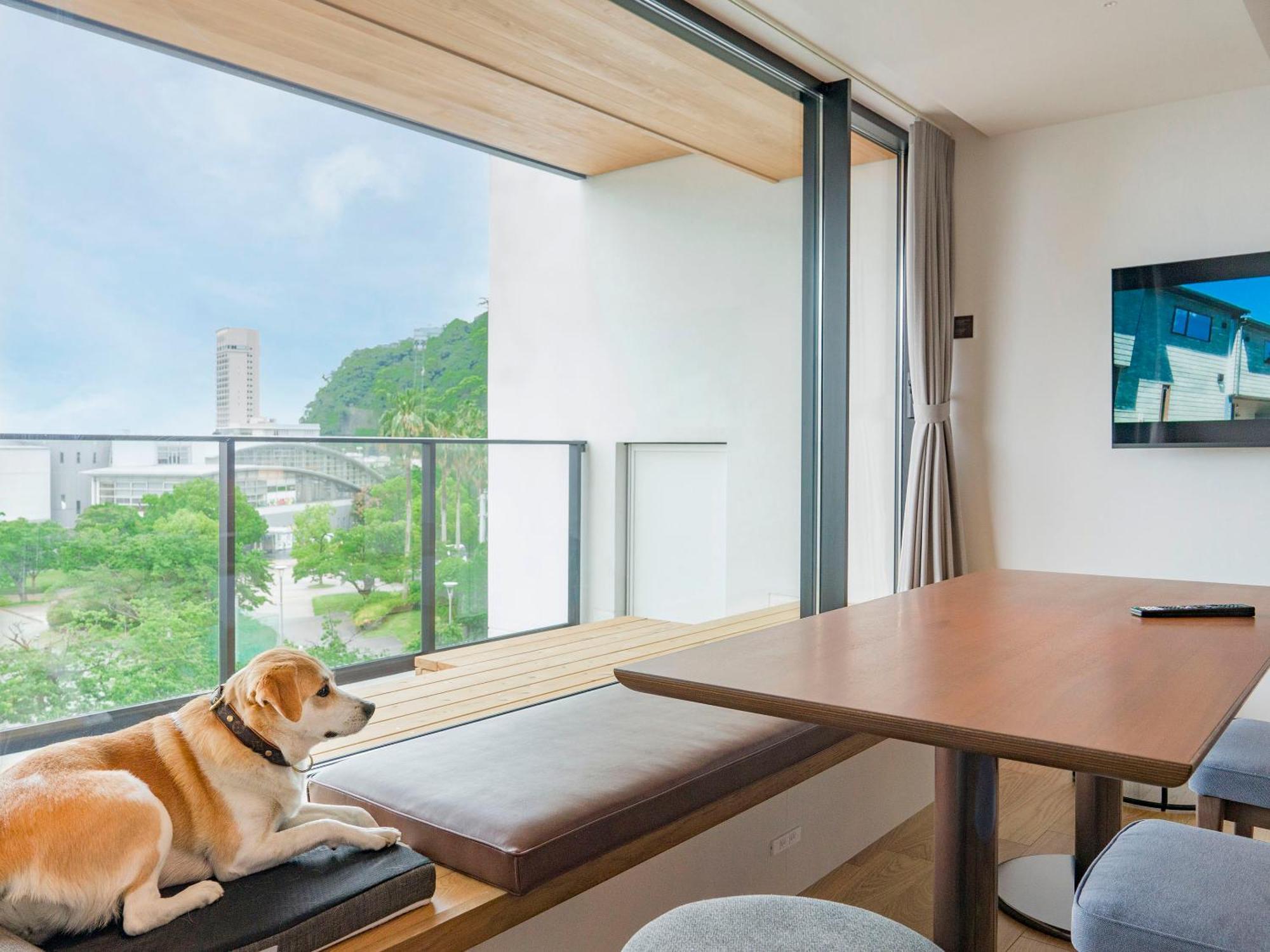 Rakuten Stay Atami Rum bild