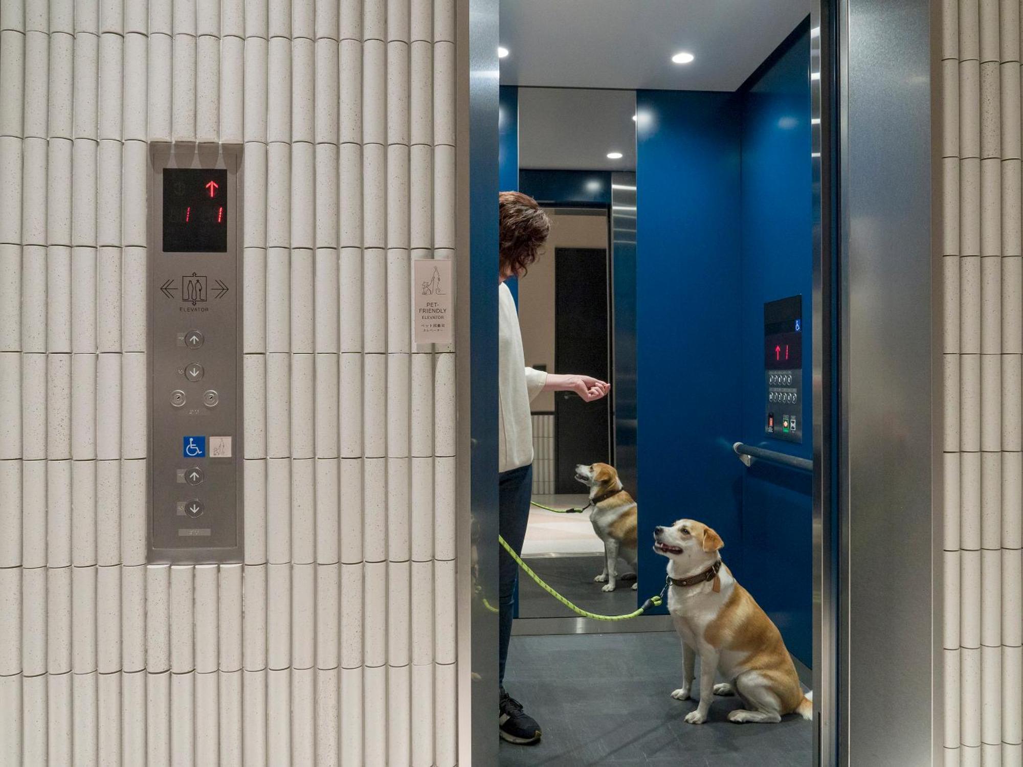 Rakuten Stay Atami Exteriör bild
